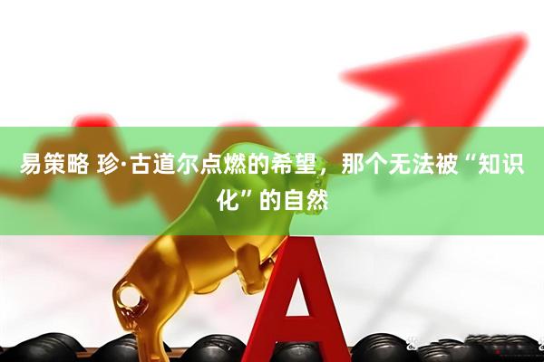 易策略 珍·古道尔点燃的希望，那个无法被“知识化”的自然